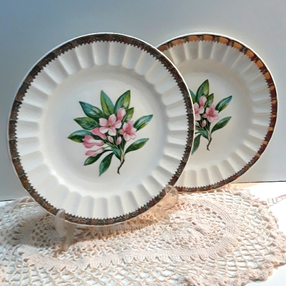 Cronin Casuals Other - Vintage Cronin Casuals 10" Plates